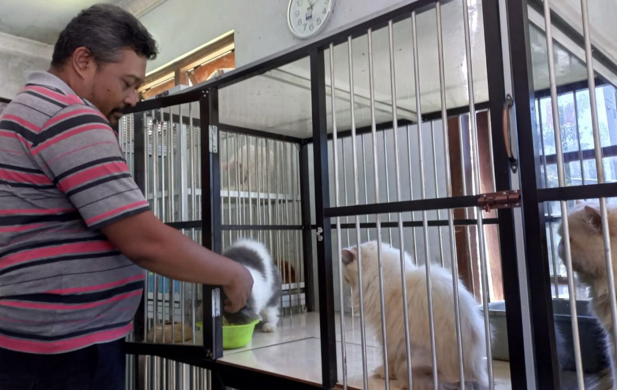 John Ruby memperlihatkan kucing-kucingnya.(Foto: Yanuar Dedy/jatimnow.com)