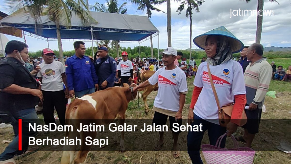 Video: NasDem Jatim Gelar Jalan Sehat Berhadiah Sapi  Sumber