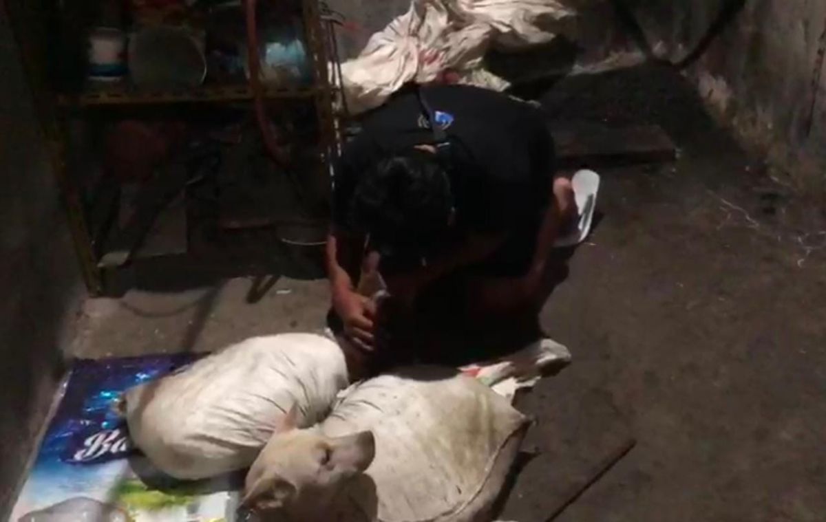 Anjing dalam kondisi terikat dalam karung ditemukan saat penggerebekan (Foto: Purwo for jatimnow.com)