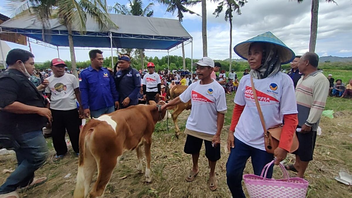Jalan sehat dengan hadiah utama dua ekor sapi digelar Partai NasDem di Banyuwangi (Foto-foto: DPW Partai NasDem Jawa Timur)