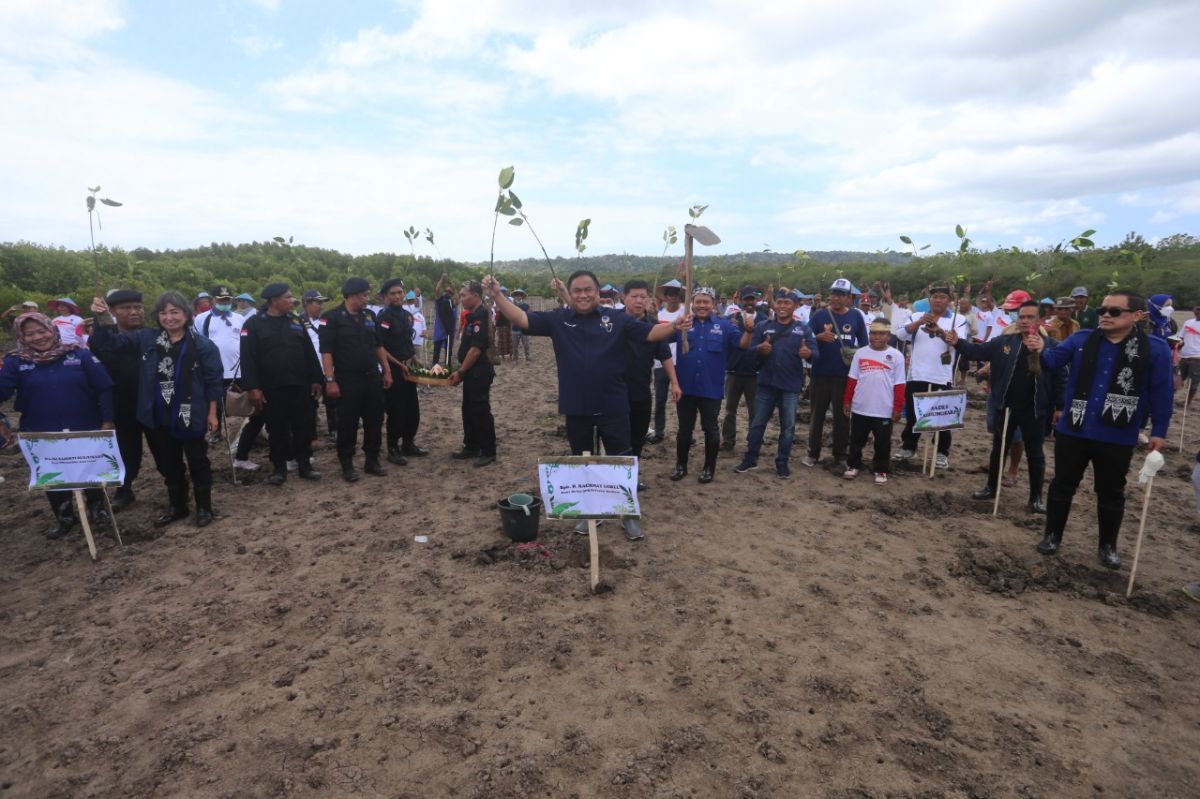 Partai NasDem Jatim menanam ribuan pohon mangrove di Desa Kedungasri, Kecamatan Tegaldlimo, Kabupaten Banyuwangi (Foto-foto: NasDem Jatim)