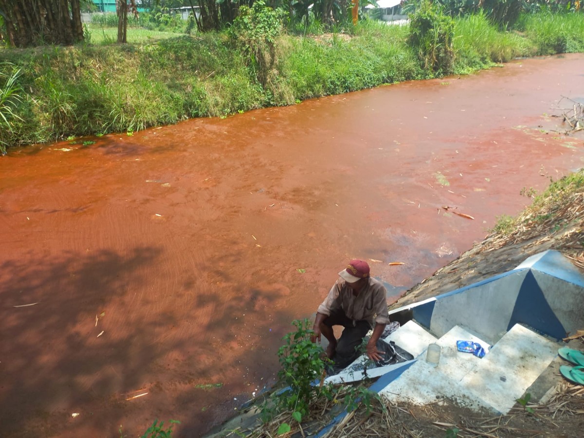 Miris! Air Sungai Desa Tanggalrejo Jombang Berwarna Merah Kecoklatan