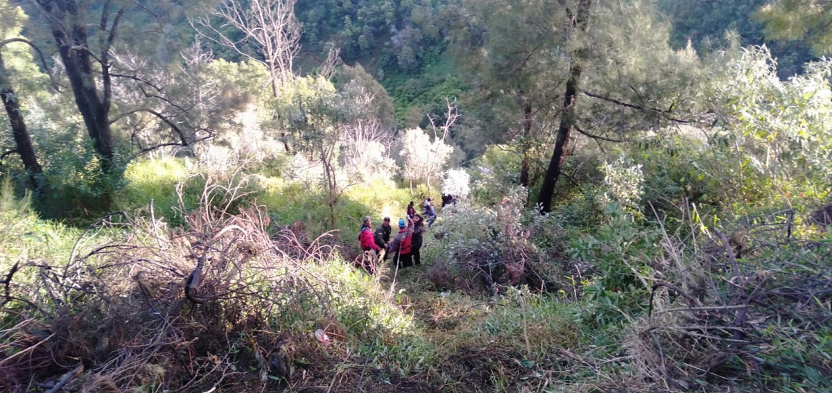 Proses evakuasi Jeep masuk jurang di Desa Wonokitri, Kecamatan Tosari, Kabupaten Pasuruan. (Foto: Polsek Tosari)