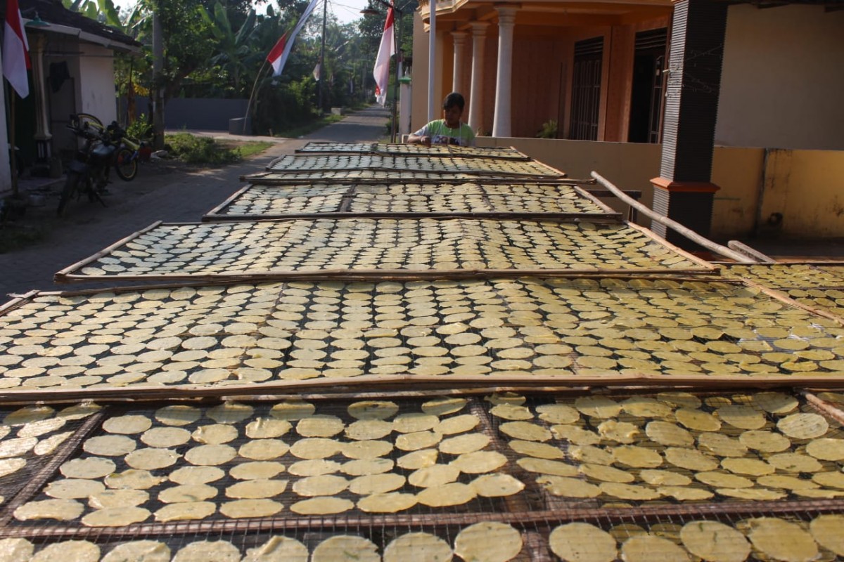 Keripik samiler yang dikeringkan dengan memanfaatkan sinar matahari.(Foto: Elok Aprianto)