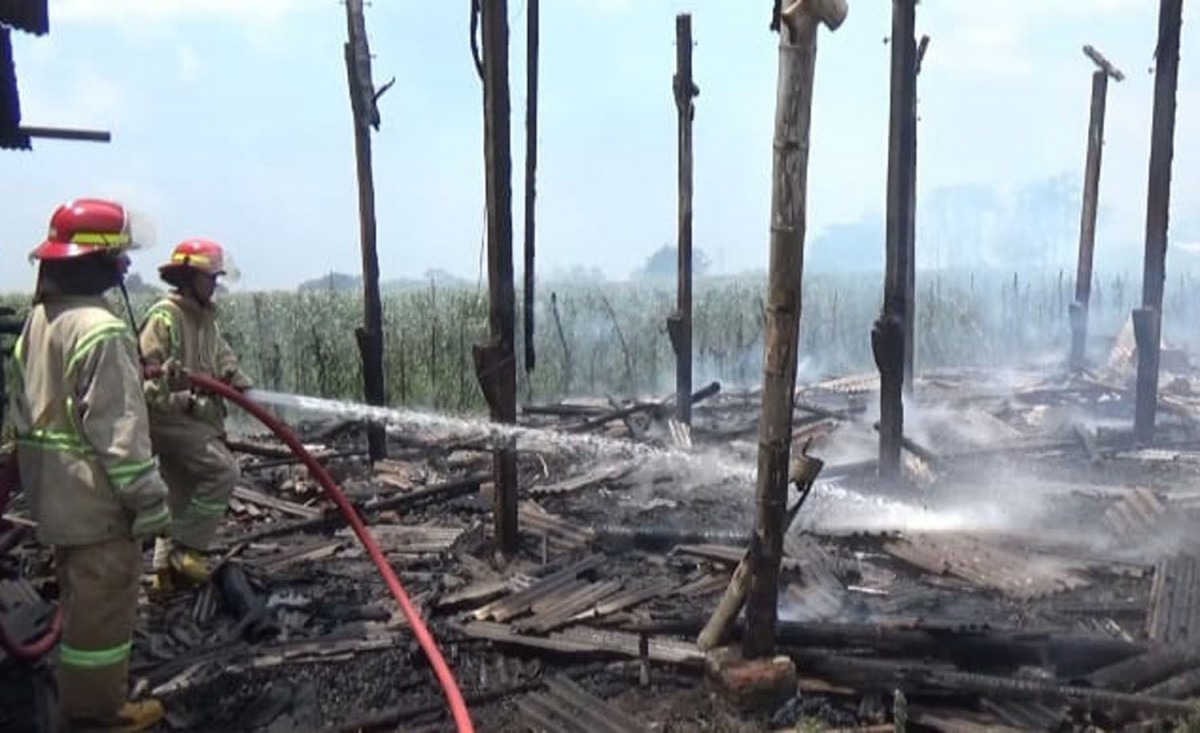 Petugas melakukan pembasahan kandang ayam di Jombang yang terbakar (Foto: Jajang for jatimnow.com)