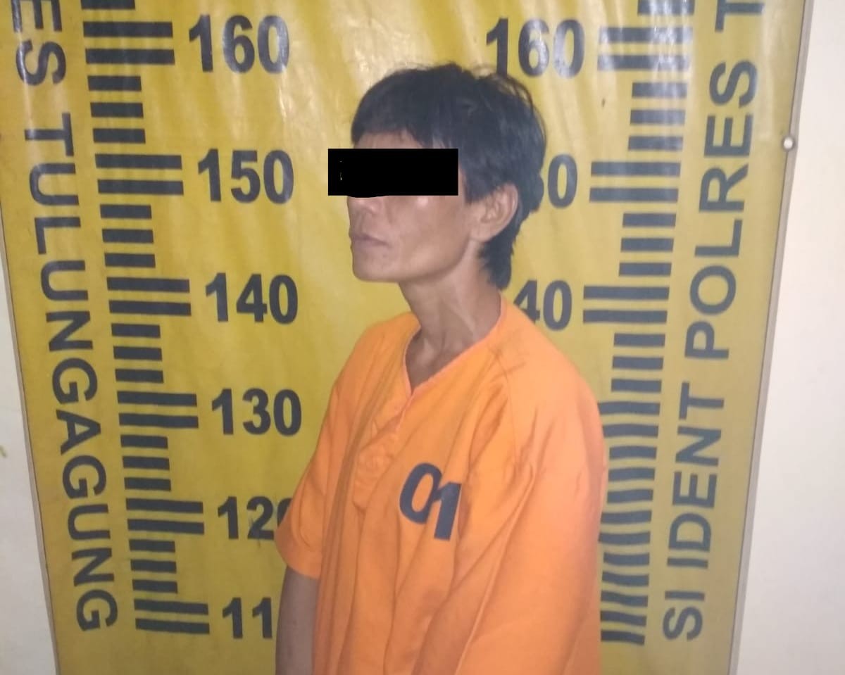 Tersangka pencurian.(Foto: Humas Polres Tulungagung)