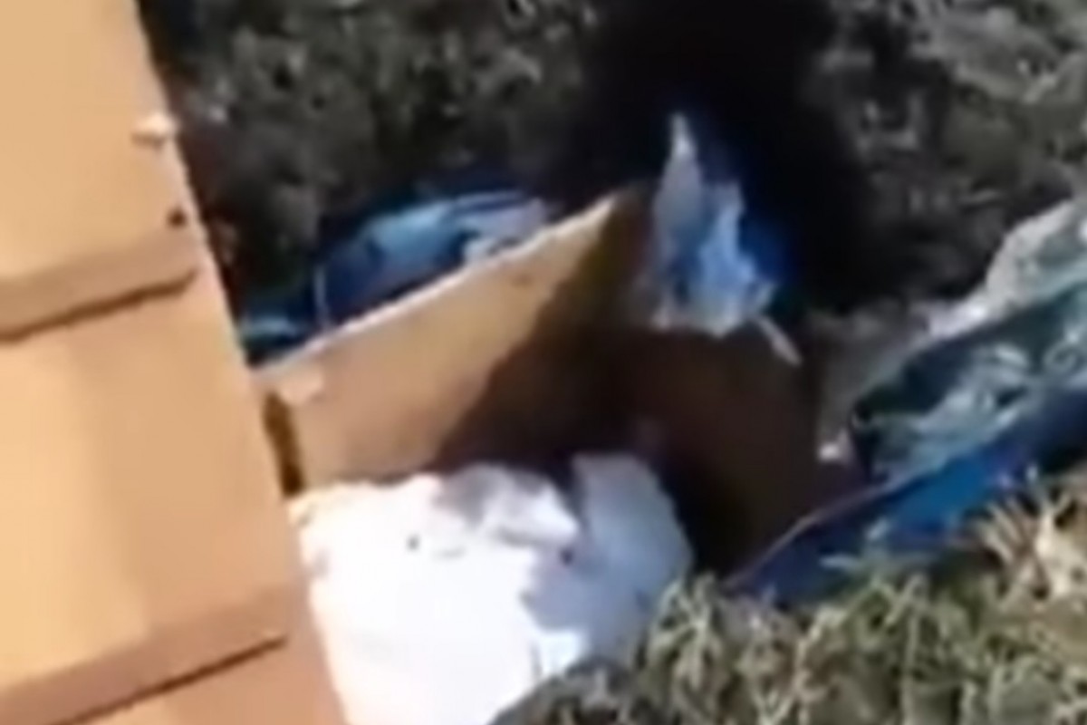 Potongan video makam warga Lamongan dibongkar. (Foto: tangkapan layar Instagram)