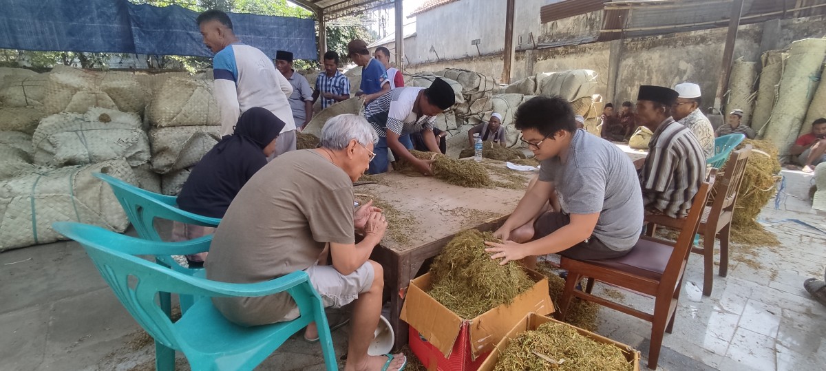 Aktivitas penyortiran tembakau di Pamekasan (Foto: Fathor Rahman/jatimnow.com)