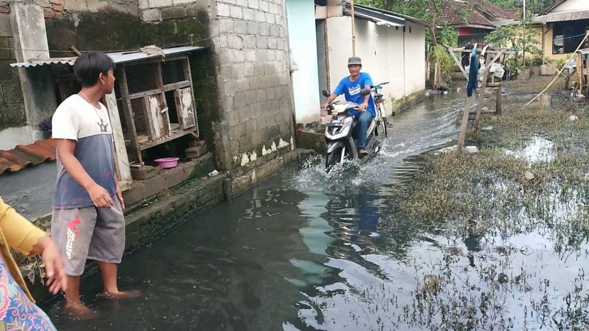 Genangan banjir dan air limbah yang menggenangi rumah warga tulungagung. (Foto: Bramanta Pamungkas/jatimnow.com)