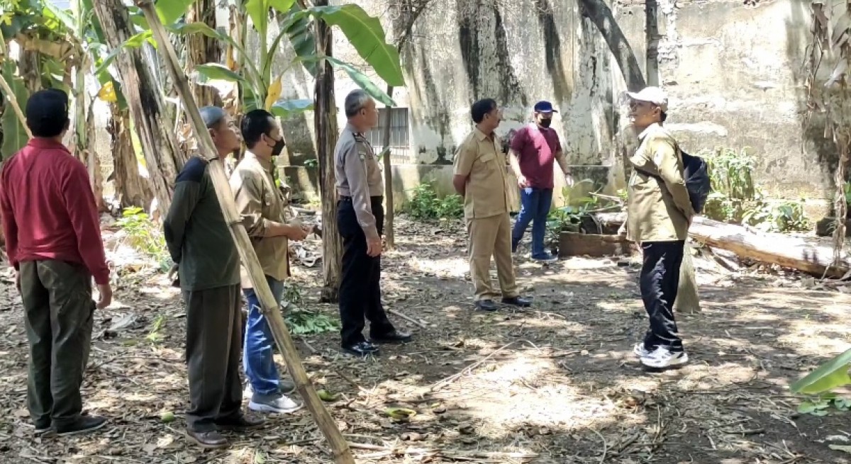 BKSDA Pasang Jebakan untuk Tangkap Monyet Liar di Permukiman