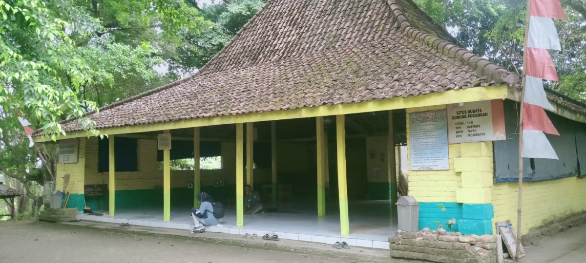 Misteri Penampakan Macan Penunggu Makam di Gunung Pucangan