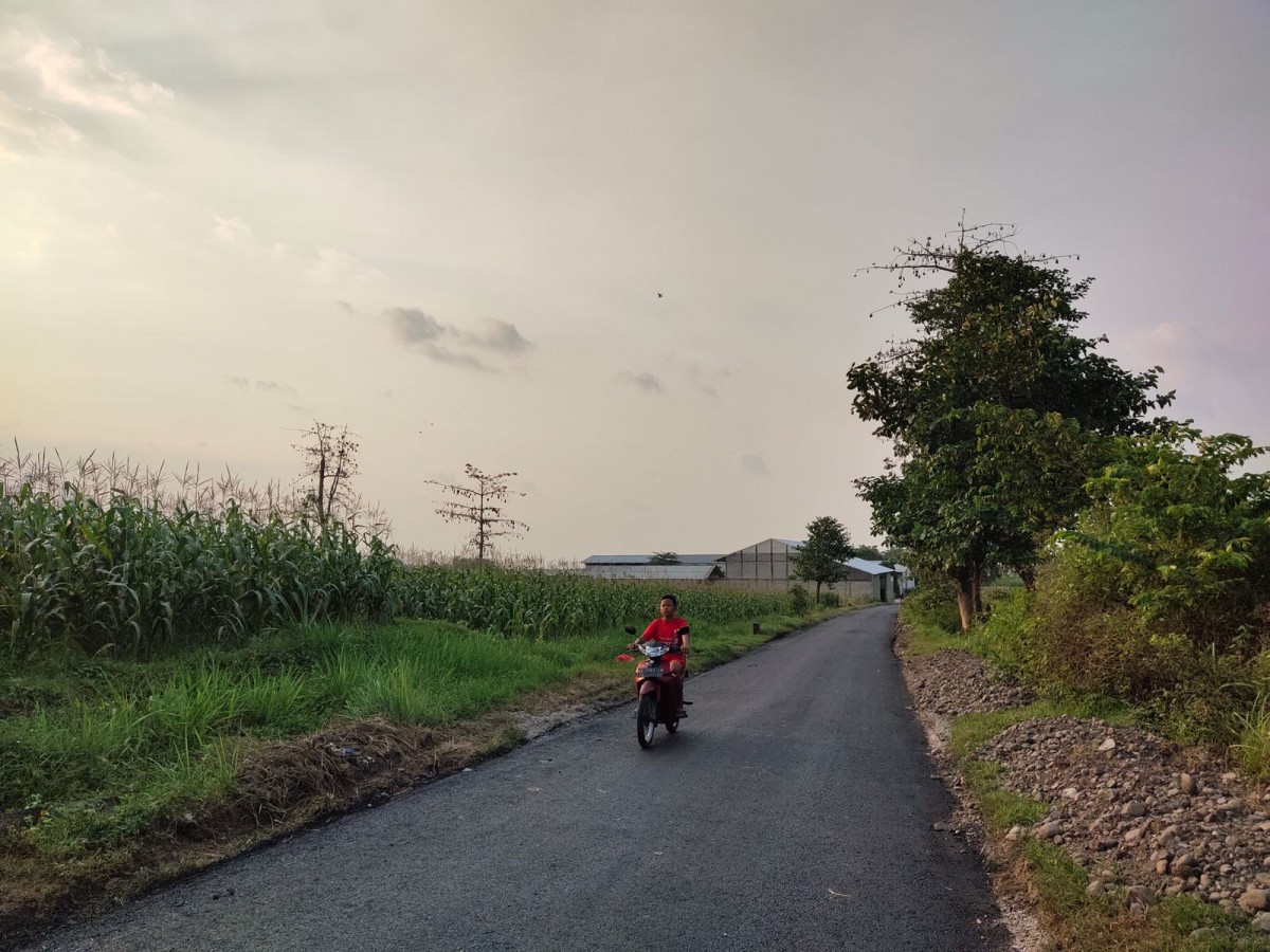 Kondisi akses jalan Desa Wisata Keling setelah perbaikan. (Foto : Humas Pemkab Kediri/jatimnow.com)