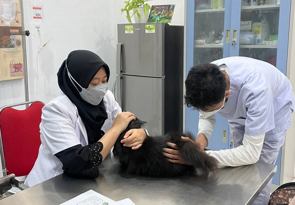 Pelaksanaan vaksinasi anti-rabies. (Foto: Humas Banywangi)