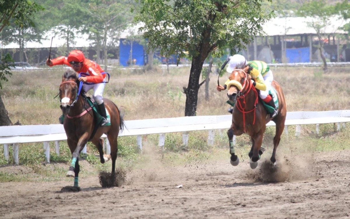 Kejurnas Pacuan Kuda Seri II Piala Presiden 2022 di Pasuruan (Foto-foto: Moch Rois/jatimnow.com)