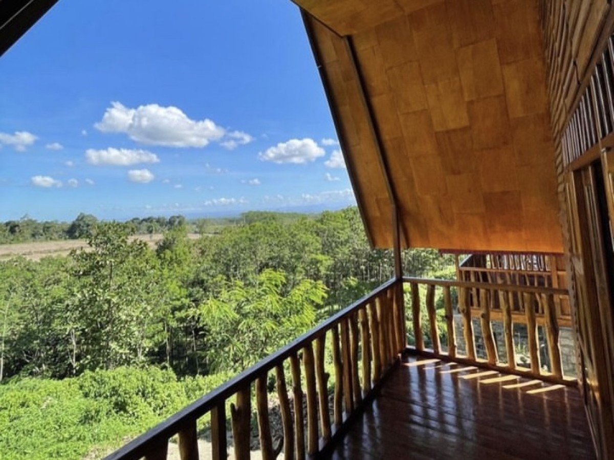 Wisata di Sekitar Gunung Kelud: Melihat Ribuan Jenis Anggrek hingga Glamping