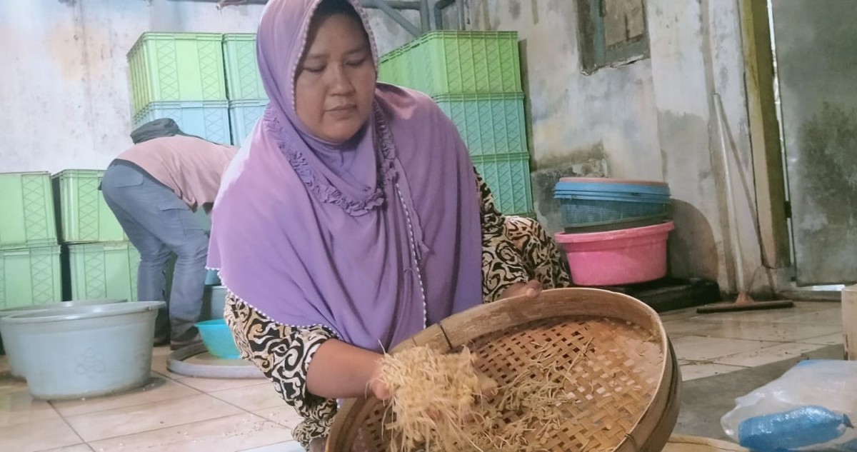 Cara Produsen Kecambah Siasati Meroketnya Harga Kedelai