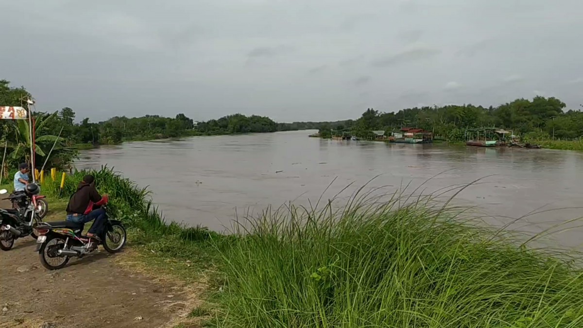 Debit air Sungai Brantas wilayah Jombang meninggi. (Foto-foto: Elok Aprianto/jatimnow.com)