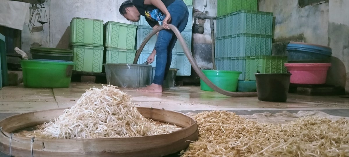 Produksi taoge di Dusun Taman, Desa Gajah, Kecamatan Ngoro.(Foto: Elok Aprianto)