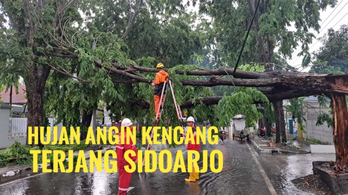 Video: Hujan Angin Kencang Terjang Sidoarjo