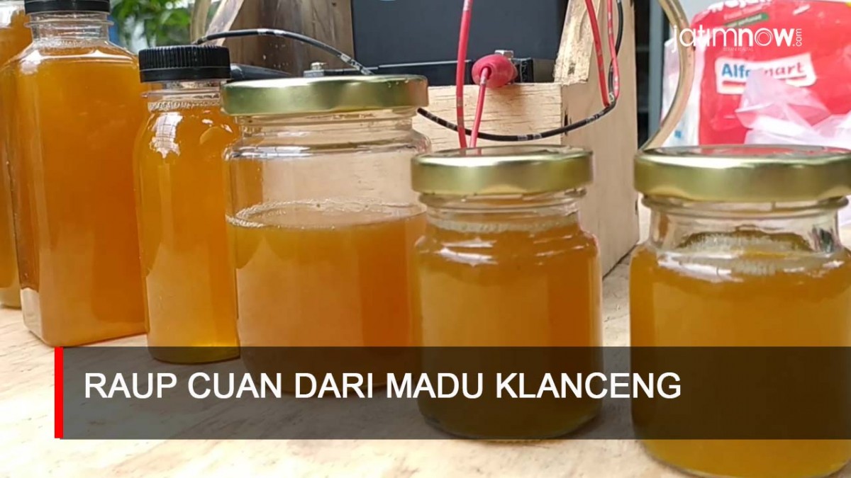 Video: Raup Cuan Jutaan Rupiah dari Madu Klanceng
