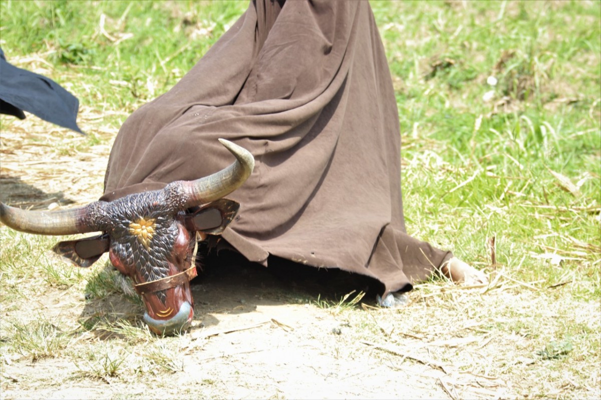 Festival Bantengan Kediri 2022 (Foto-foto: Humas Pemkab Kediri)