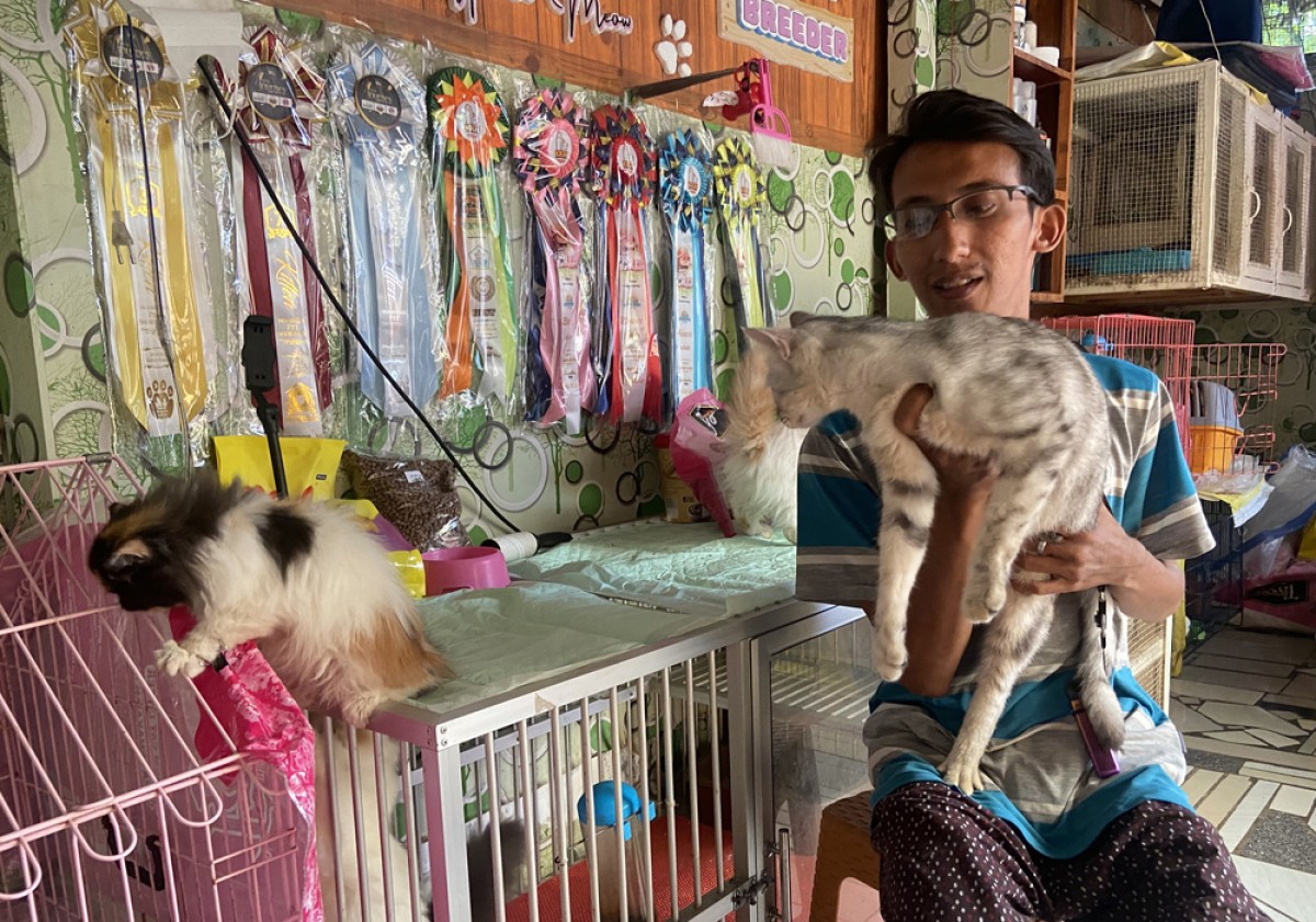 Arya Fathurohman menunjukkan salah astu kucing di belakang rumahnya yang disulap menjadi salon kucing. (foto: Mita Kusuma/jatimnow.com)