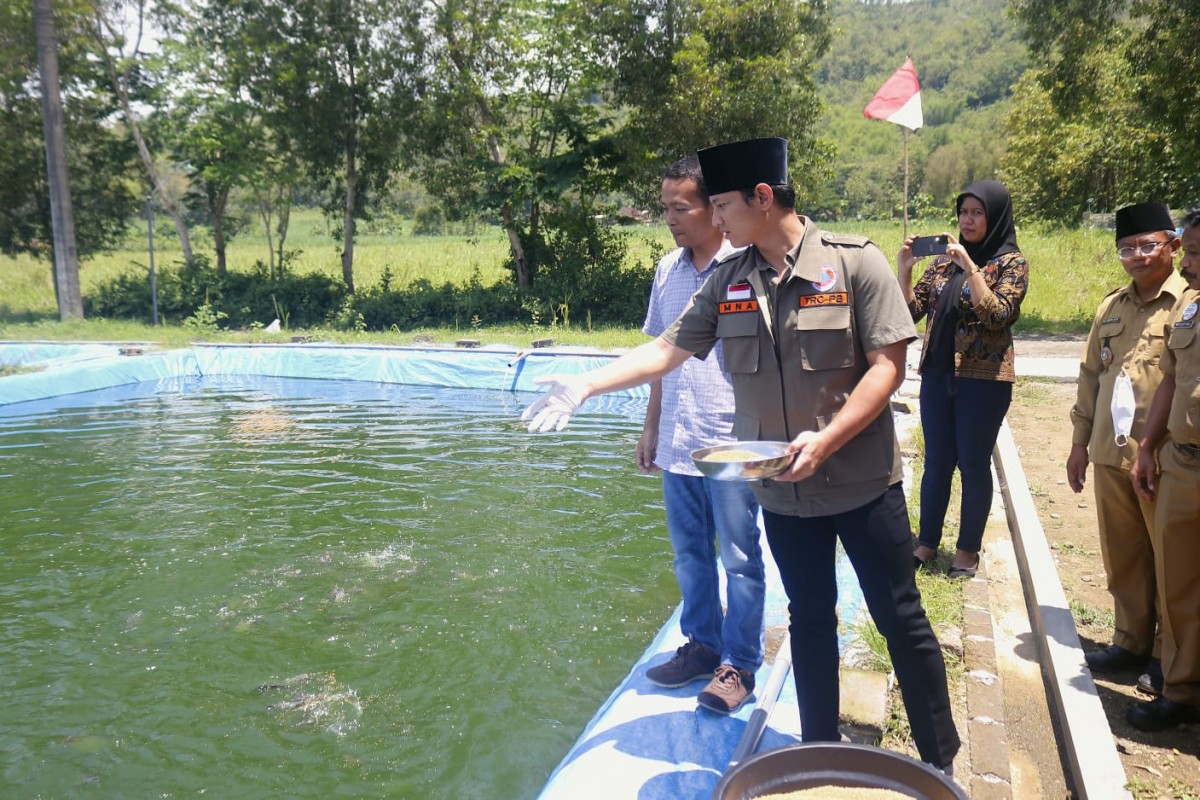 Bupati Trenggalek, Mochamad Nur Arifin saat tebar benih patin. (foto: Kominfo Trenggalek for jatimnow.com)