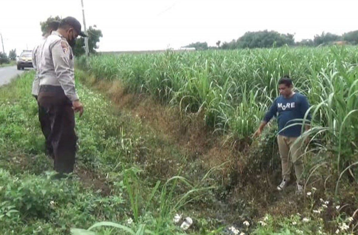 Polisi saat mendatangi lokasi yang sebelumnya dilaporkan terjadi pembegalan (Foto: Polsek Mojowarno/jatimnow.com)