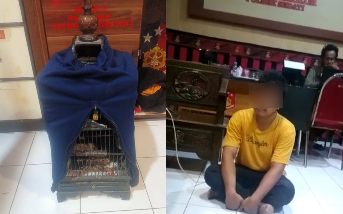 Pencurian burung di Sidoarjo (Foto: Polsek Sedati for jatimnow.com)
