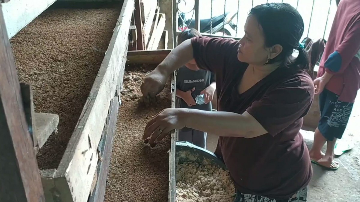 Ulat kandang yang dibudidayakan Mahfud mulai terhimpit dengan naiknya harga pakan ternak. (foto: Elok Aprianto/jatimnow.com)