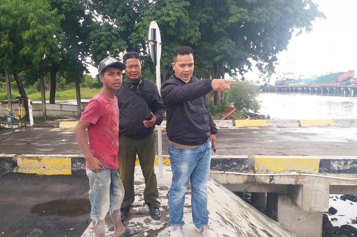 BKSDA Pastikan Buaya Berenang yang Viral Bukan di Gresik