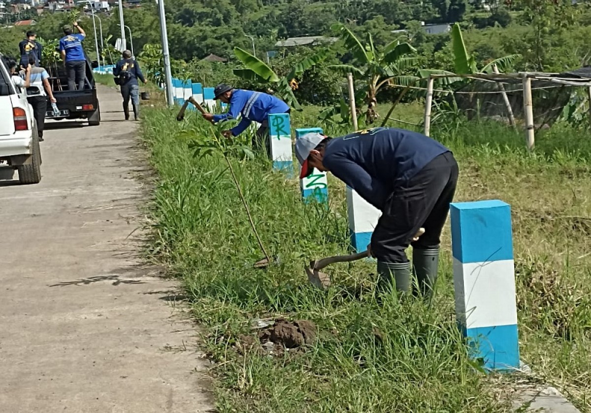 Penanaman pohon di sepanjang jalan. (Foto: DPUPR Kota Batu)