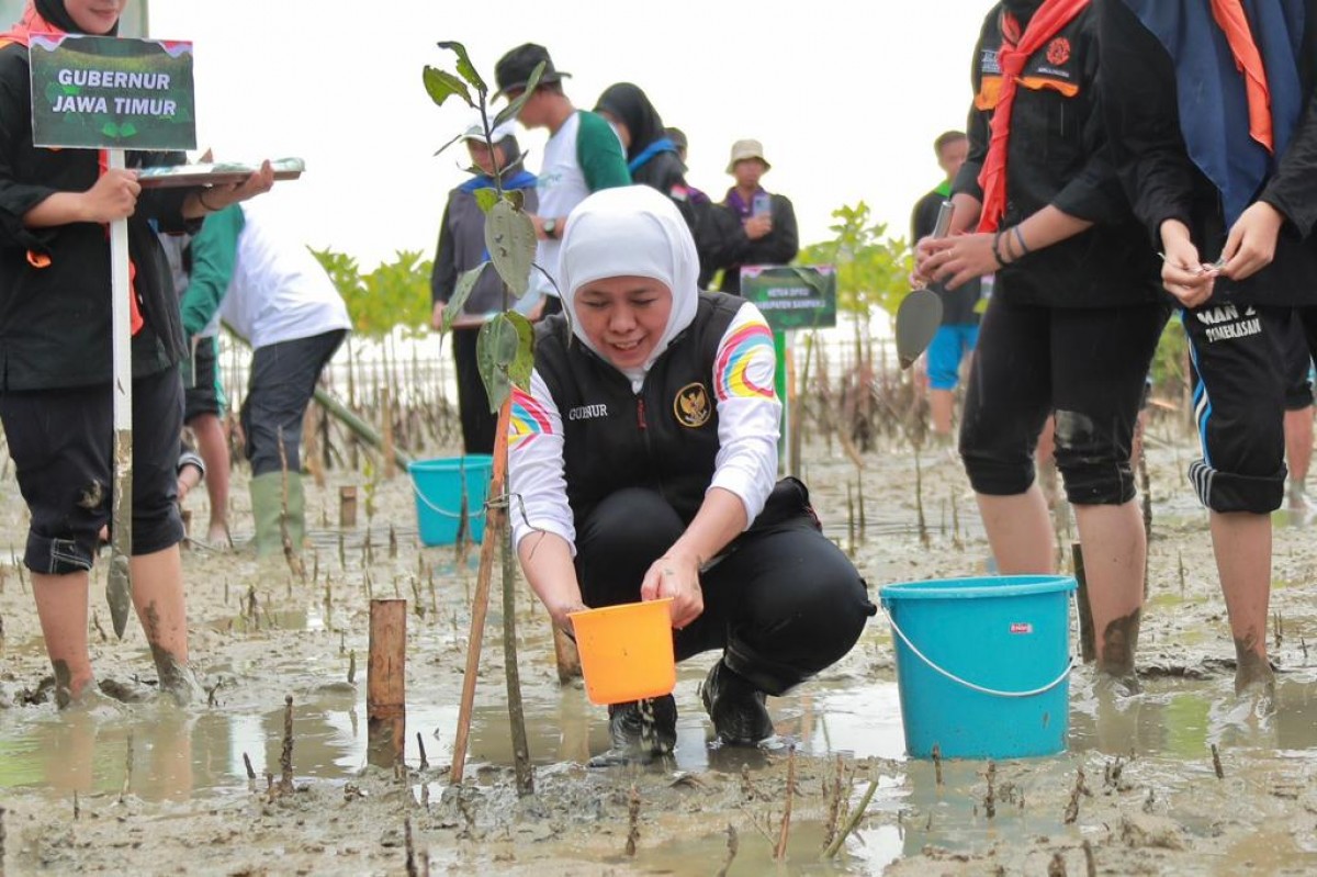 Sedekah Oksigen untuk Dunia, Gubernur Jatim Khofifah Tanam Ribuan Mangrove
