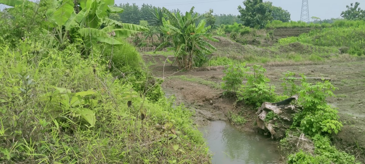 Lahan warga Kabuh yang rusak akibat pembangunan peternakan sapi. (foto: Elok Aprianto/jatimnow.com)