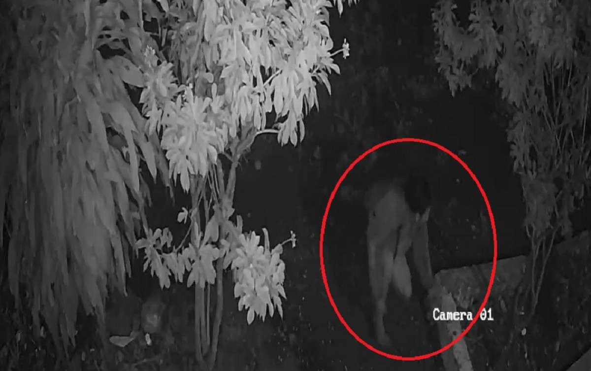 Tangkapan layar sksi pelaku pencurian di SDN Jatibanjar, Kecamatan Ploso yang terekam kamera CCTV.(Foto: Elok Aprianto/jatimnow.com)