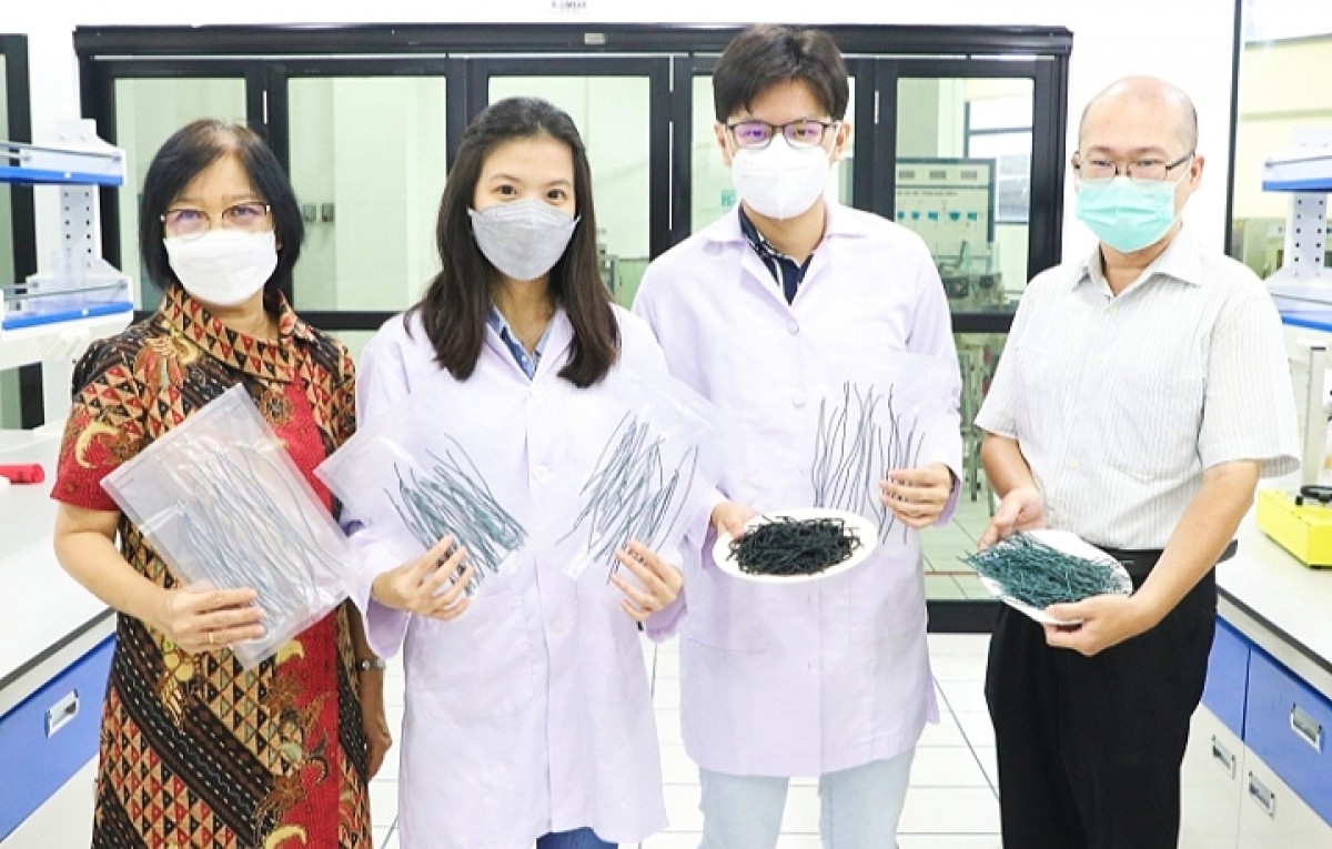 Kreasi dosen dan mahasiswa Universitas Surabaya menciptakan pasta dengan formulasi spirulina. (foto: Ubaya for jatimnow.com)