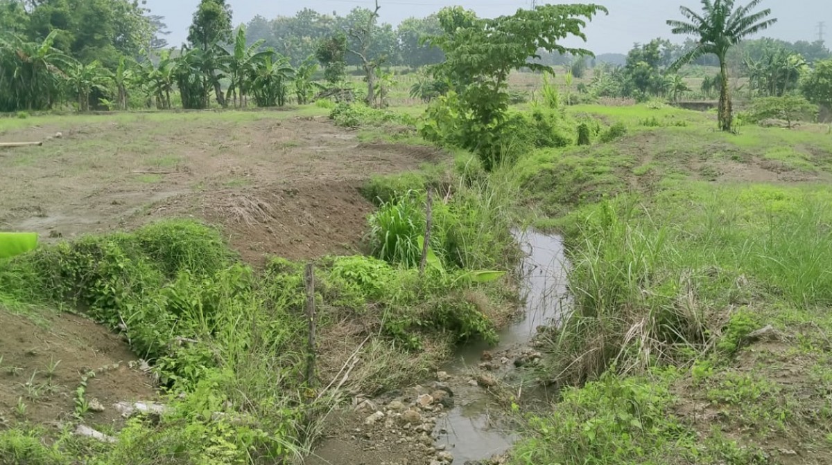 Lahan yang sudah dibeli oleh PT PAM di Dusun Kwacang, Desa Sukodadi, Kecamatan Kabuh. (Foto: Elok Aprianto/jatimnow.com)