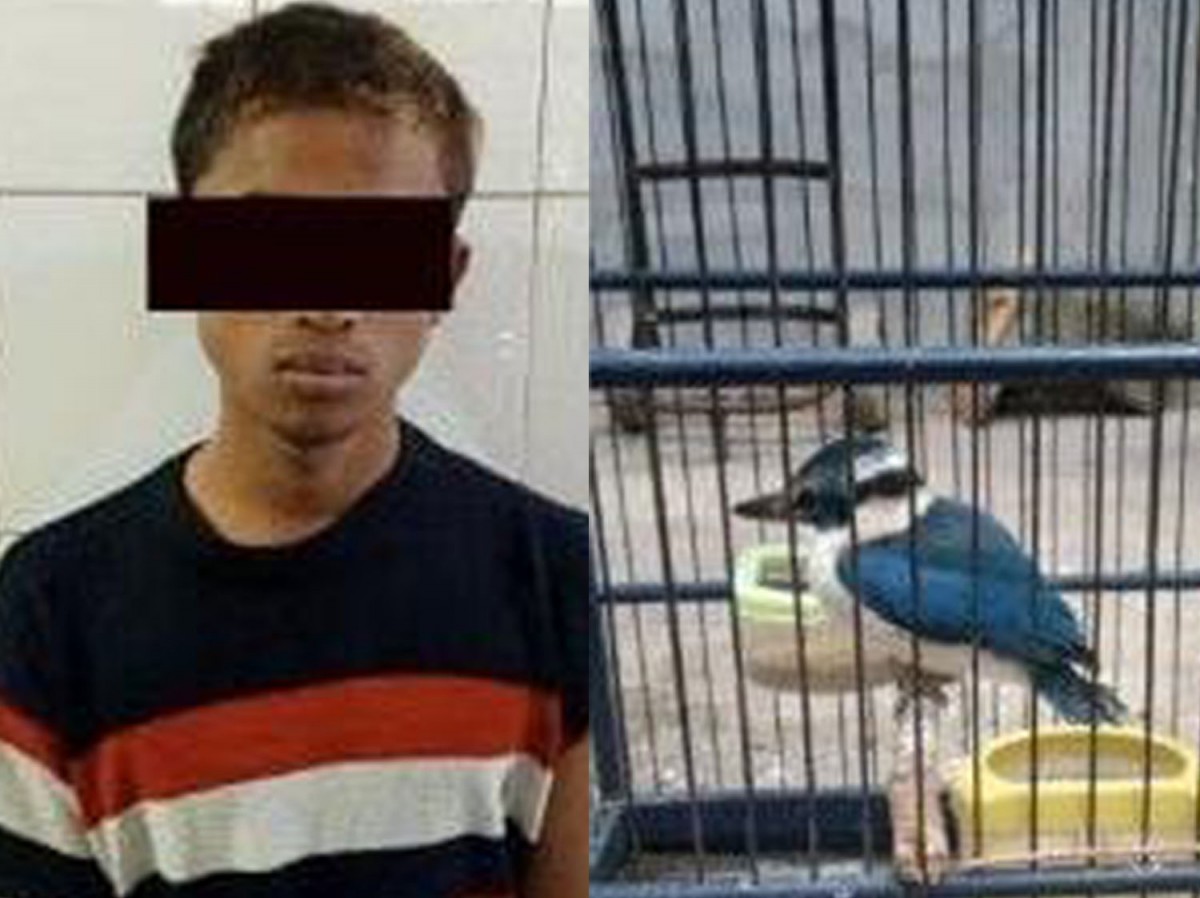 AY, pencuri burung jalak saat diamankan bersama barang bukti (Foto: Polsek Kenjeran for jatimnow.com)