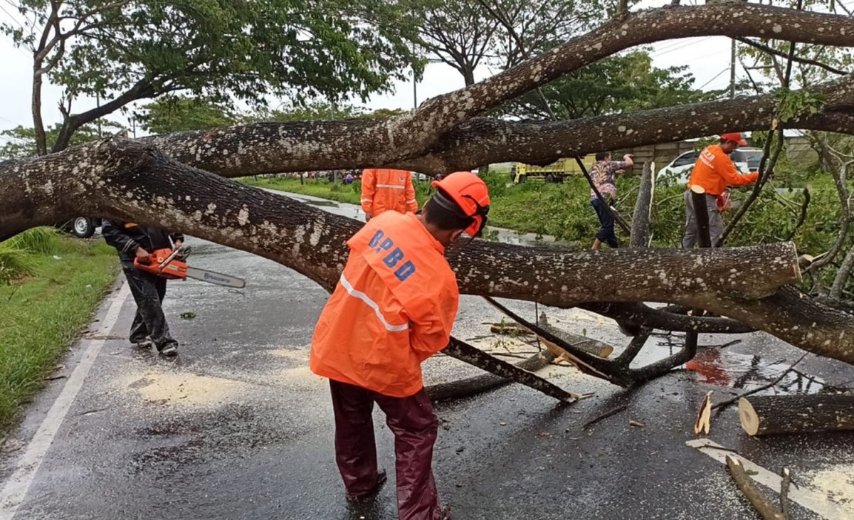Proses evakuasi pohon tumbang yang menutup akses menuju Jembatan Suramadu sisi Bangkalan (Foto: Satlantas Polres Bangkalan)