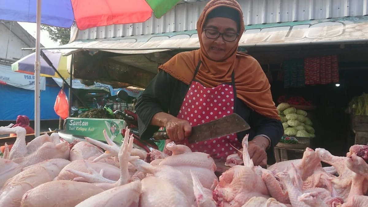 Pedagang ayam di pasar grosir Ngemplak Tulungagung mengalami penurunan omzet sejak harga merangkak naik. (foto: Bramanta Pamungkas/jatimnow.com)