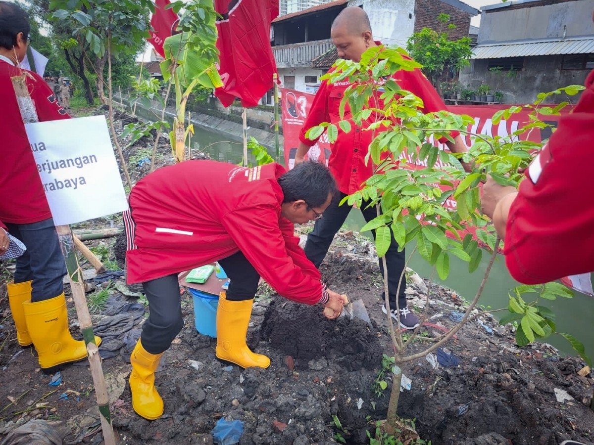 Ketua DPC PDI Perjuangan Kota Surabaya, Adi Sutarwijono menanam pohon untuk merawat kehidupan. (foto: PDI Perjuangan Surabaya for jatimnow.com)
