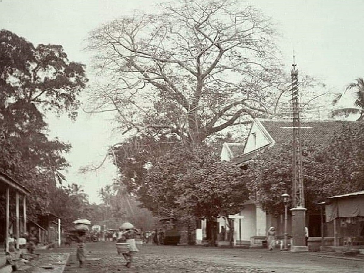 Pohon Randu dan Kantor Telegram (Foto: Dokumen dr. Sudi Harjanto)