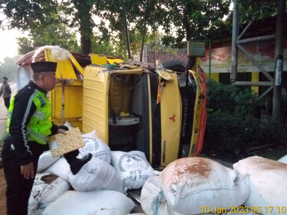 Truk bermuatan serbuk kayu yang terguling ke badan jalan usai menabrak pohon. (Foto: Satlantas Polres Jombang)