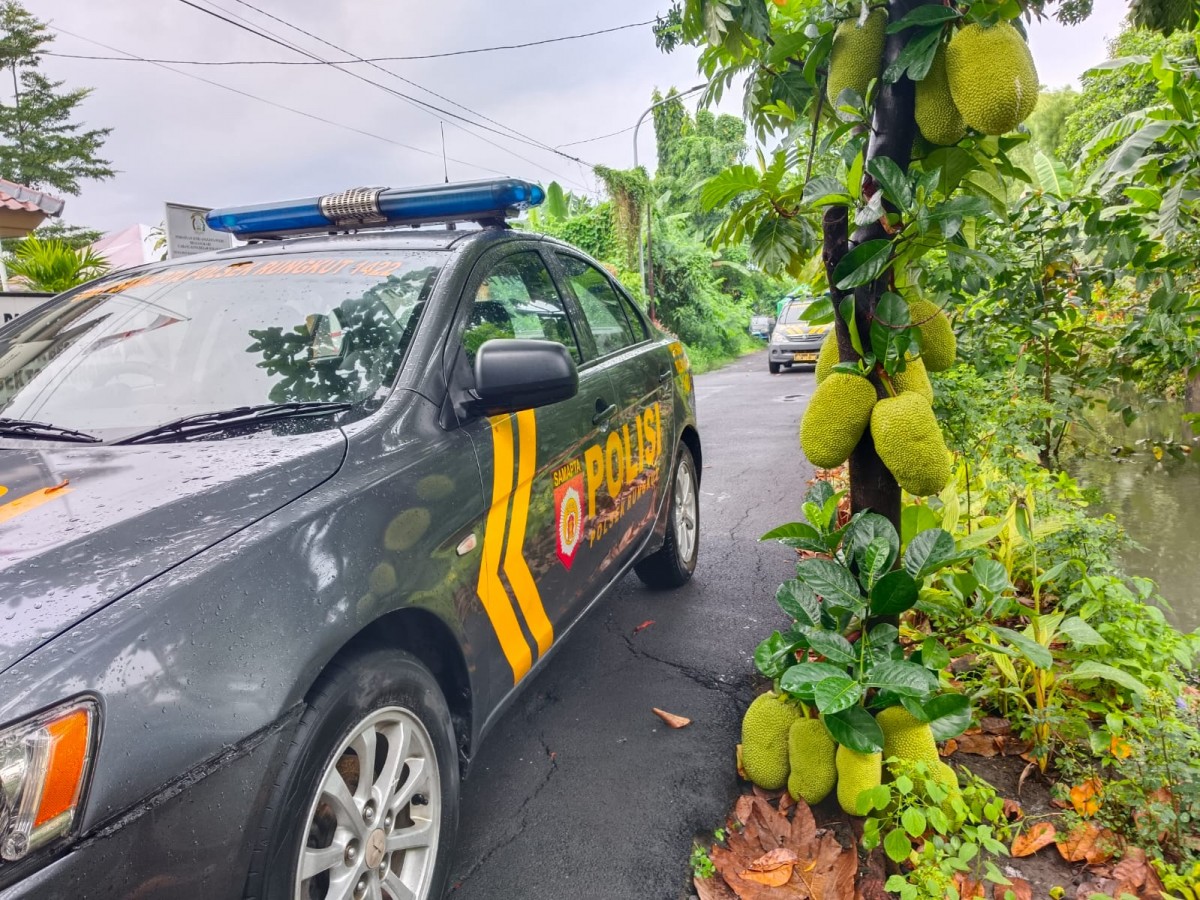Pohon Nangka Unik di Mapolsek Rungkut Surabaya: Bikin Sejuk, Berkah Bagi Anggota