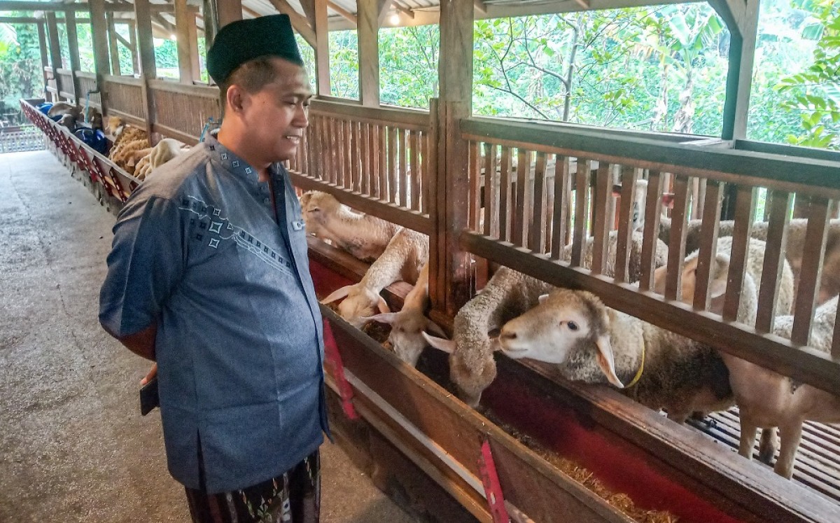 Potret peternakan kambing milik Slamet Kuncahyono. (Foto-foto: Zainul Fajar/jatimnow.com)