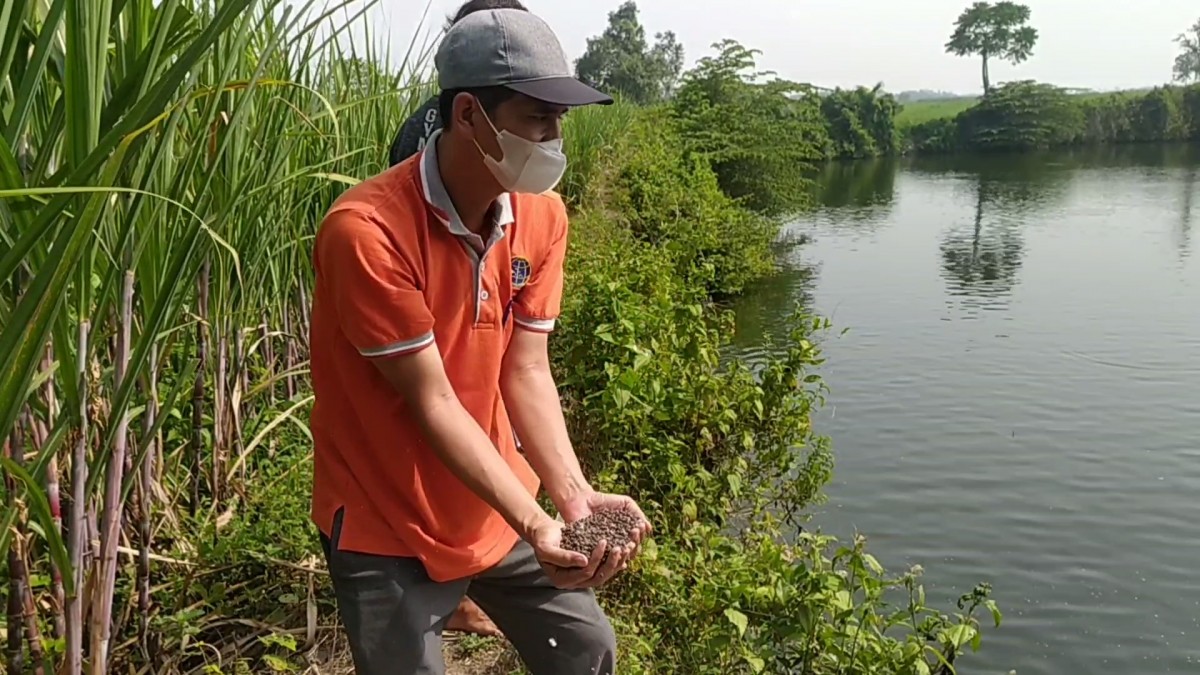 Ahmad Kasani (43) warga Desa Rejoagung, Kecamatan Ngoro, yang sukses budidaya ikan bawal. (Foto: Elok Aprianto/jatimnow.com)