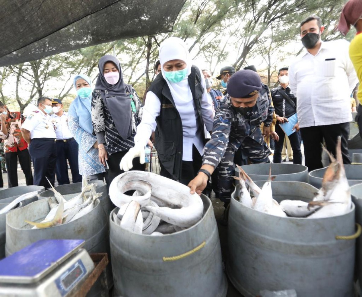 Gubernur Jatim, Khofifah Indar Parawansa saat meninjau pelelangan ikan. (foto: Humas Pemprov Jatim for jatimnow.com)