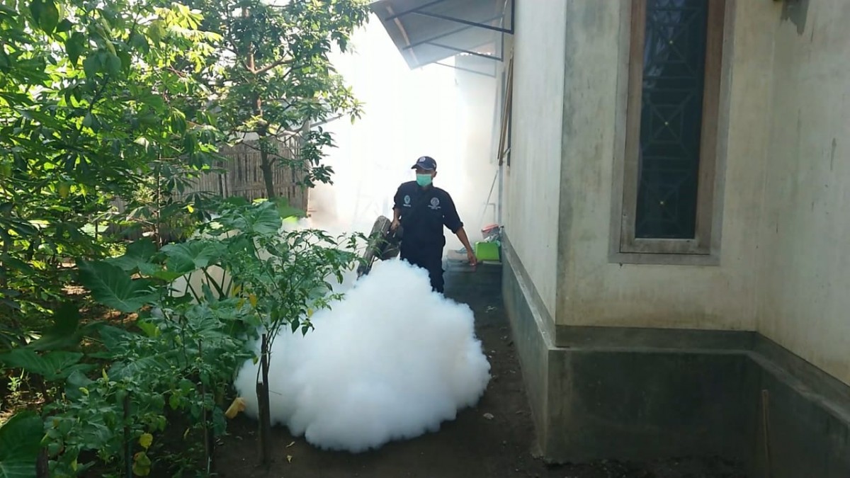 Sebaran Chikungunya Meluas, Ini Langkah Dinkes Tulungagung