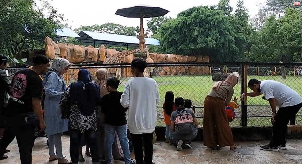 Jumlah pengunjung KBS selama liburan Imlek mencapai 35 ribu lebih dalam tempo tiga hari. (foto: Fajar Mujianto/jatimnow.com)