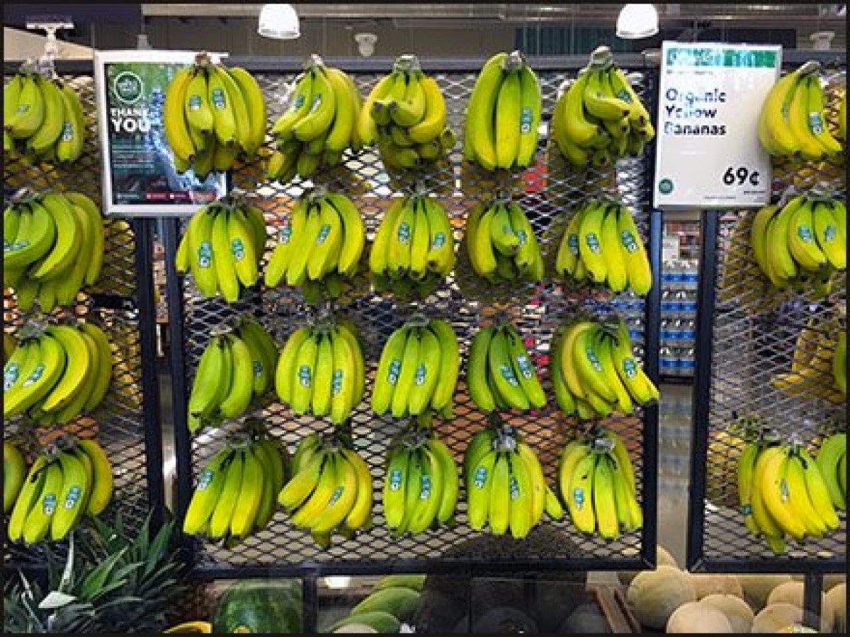 (foto: fixturescloseup)